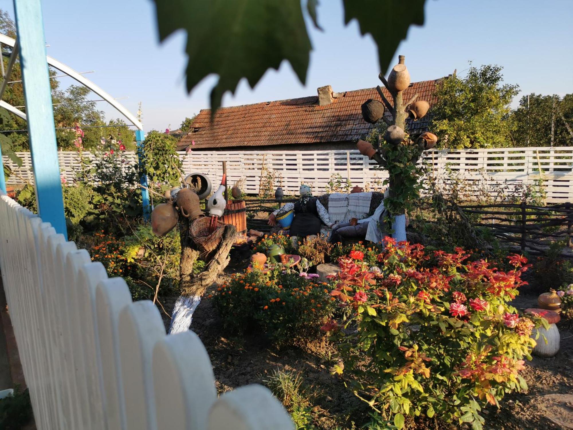 Bed and Breakfast La Madalina Selemet Zewnętrze zdjęcie