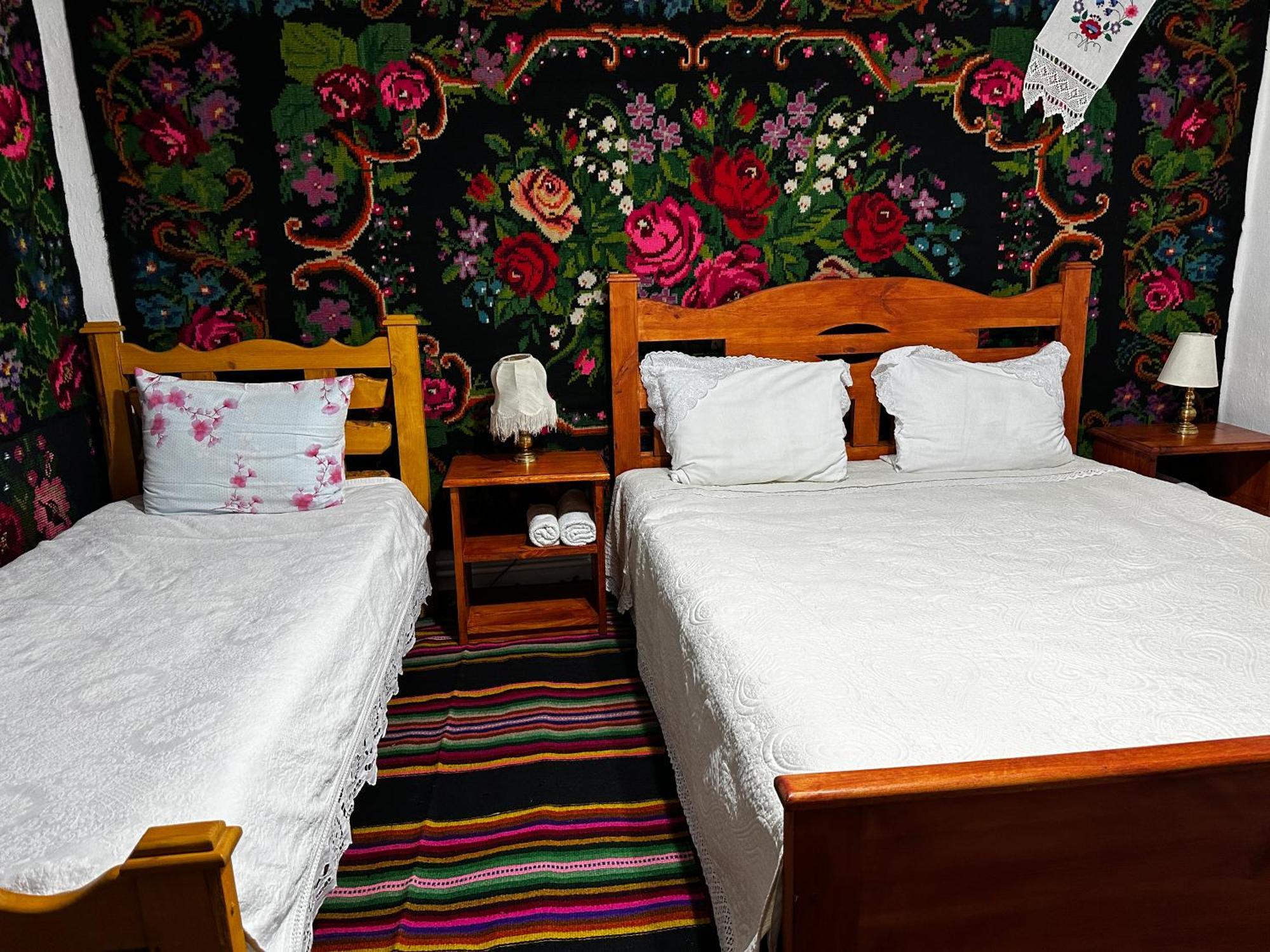 Bed and Breakfast La Madalina Selemet Zewnętrze zdjęcie