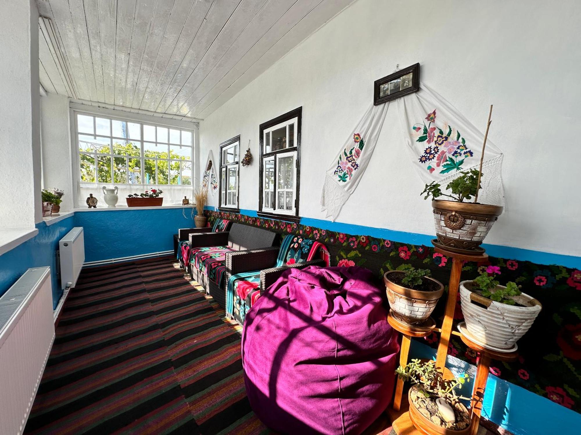 Bed and Breakfast La Madalina Selemet Zewnętrze zdjęcie